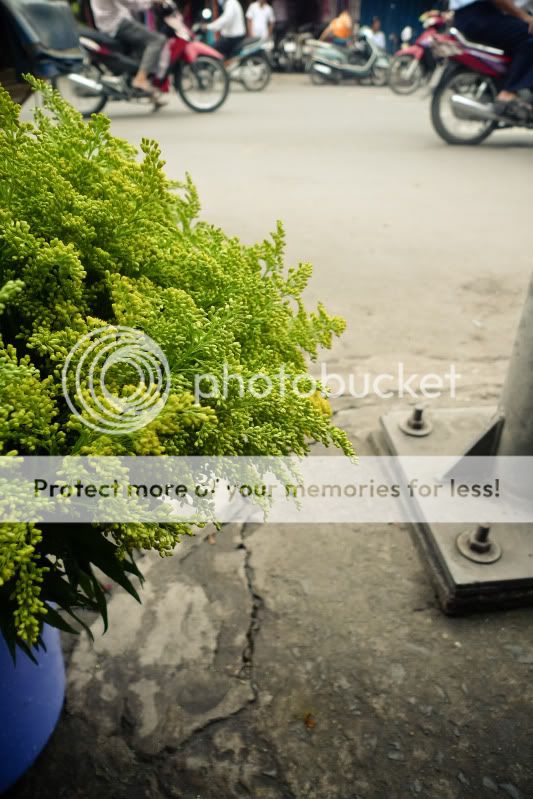 topic về những hình ảnh chụp bằng điện thoại di động - 1