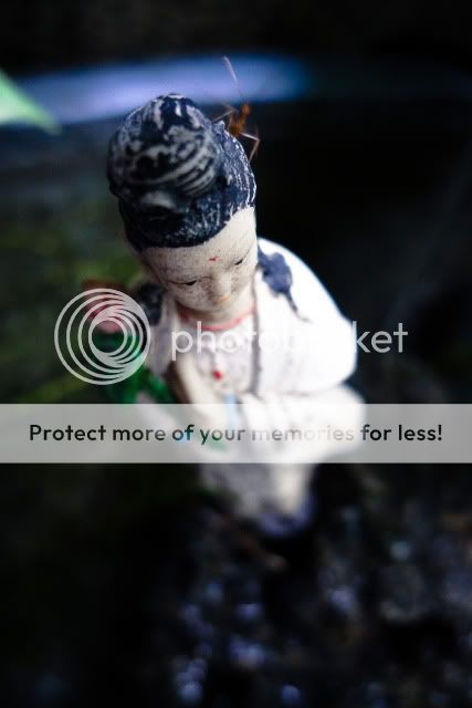 topic về những hình ảnh chụp bằng điện thoại di động