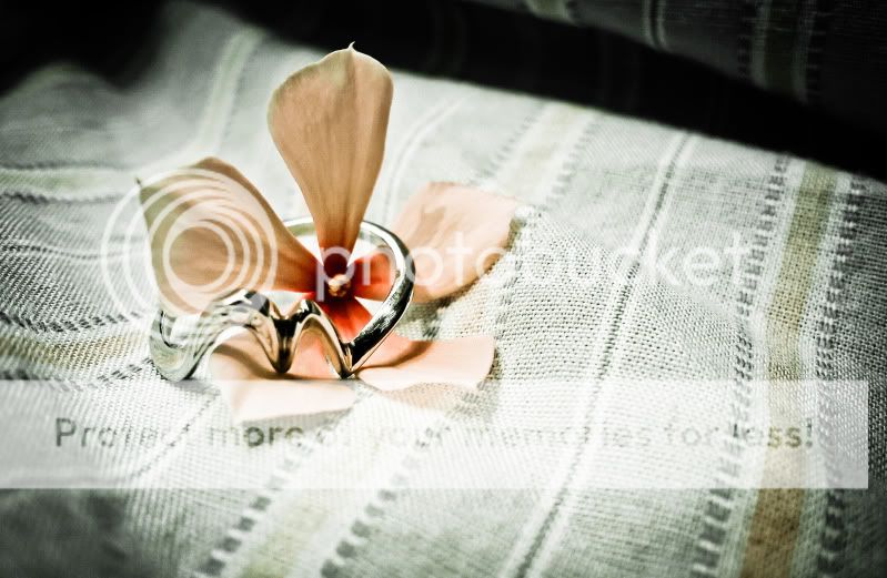 topic về những hình ảnh chụp bằng điện thoại di động