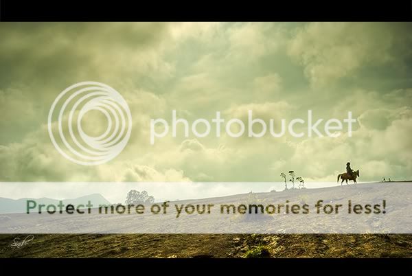 Bromo, gunung, gunung bromo, kuda, landscape 