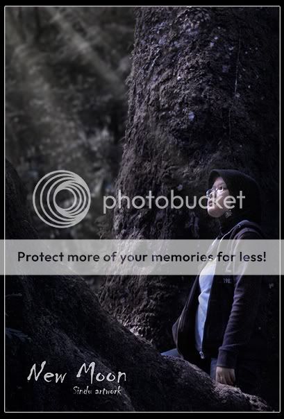 dark, hutan, new moon