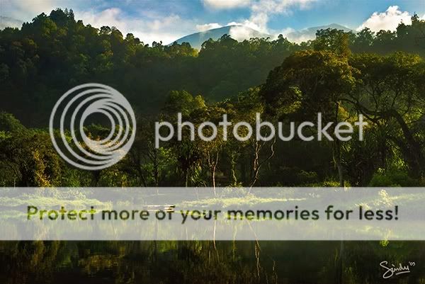 morning, situ gunung