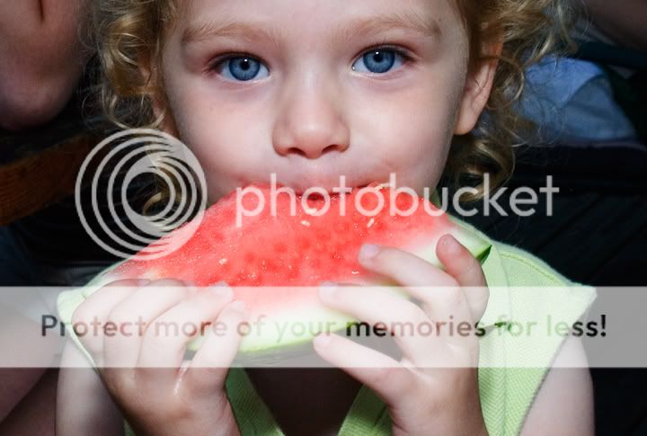 traverse city chiropractors