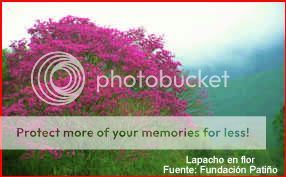 Parque Nacional y Área Natural de Manejo Integrado Serranía del