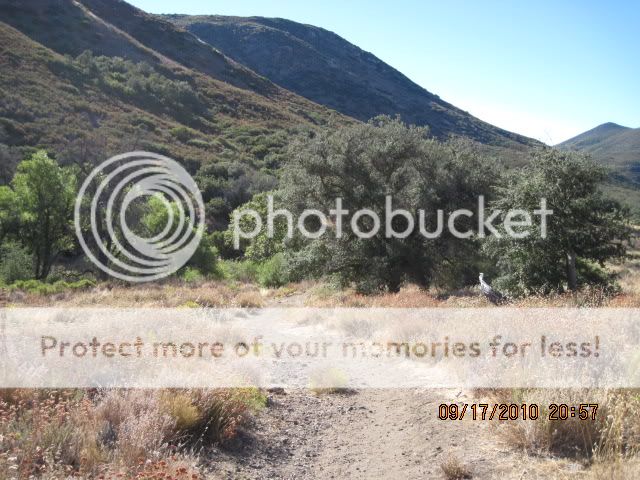 IMG_3729.jpg