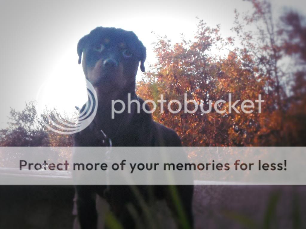 Photo Gallery 3# - Dm23 Jack