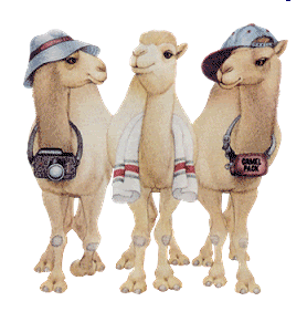 hump.gif