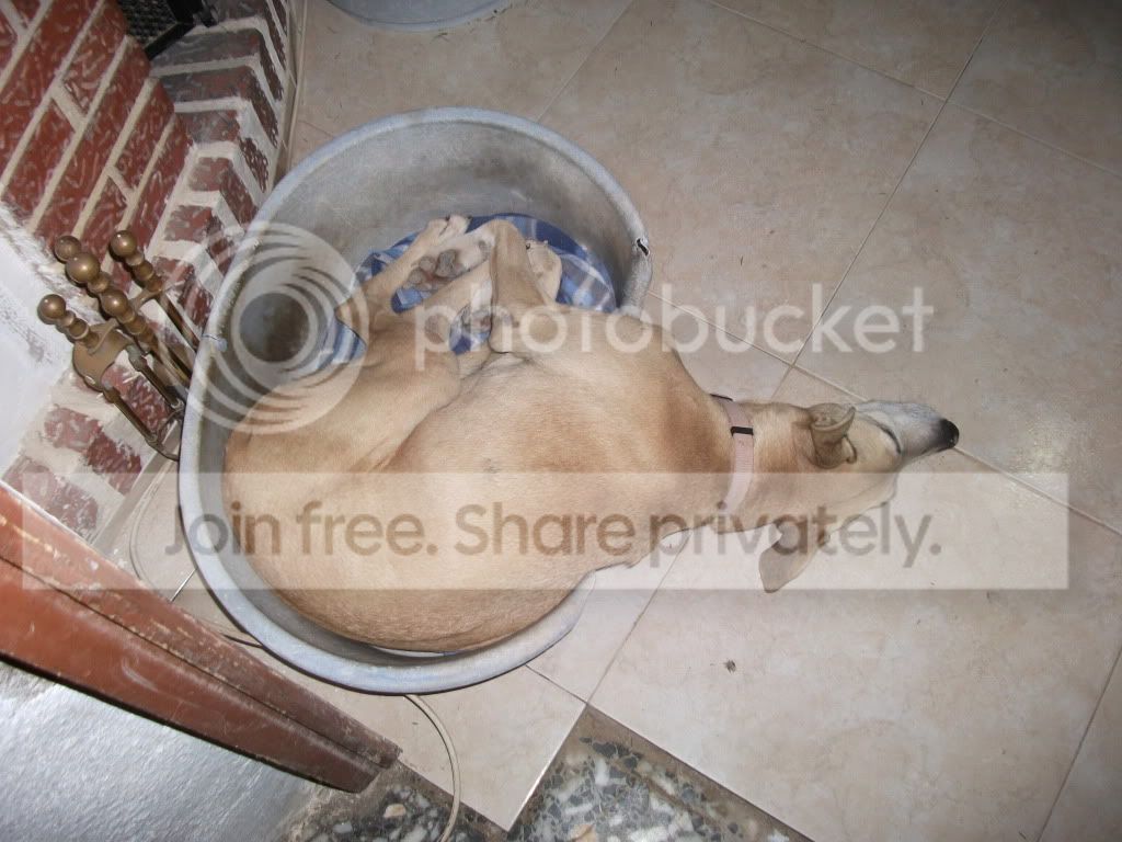 DSCF0151.jpg
