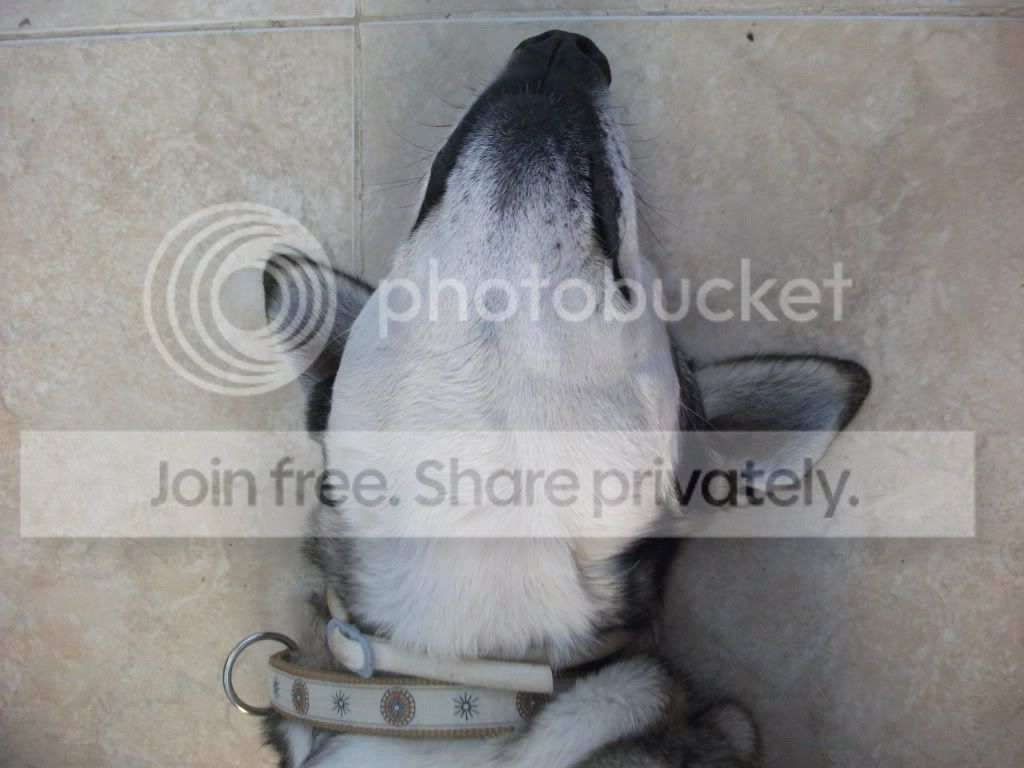 DSCF1269.jpg
