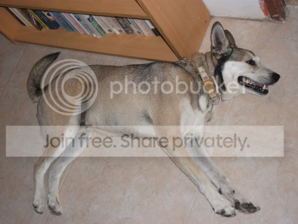DSCF1290.jpg