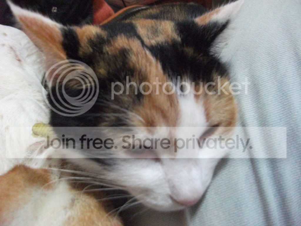 DSCF1921.jpg