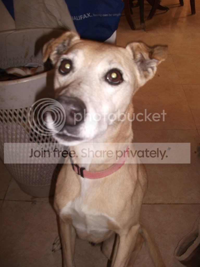 DSCF2001.jpg