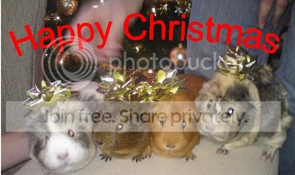 HappyXmas.jpg
